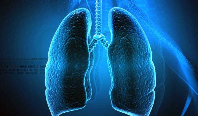 tính di truyền của ung thư phổi